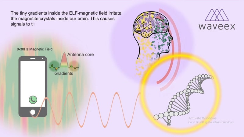 sóng điện thoại ảnh hưởng tới hệ thần kinh